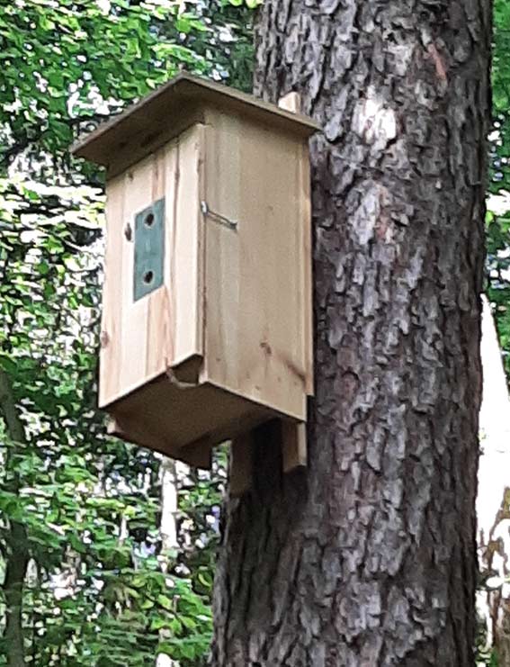 Mündener Hornissenkasten aus Massivholz mit Spechtschutz