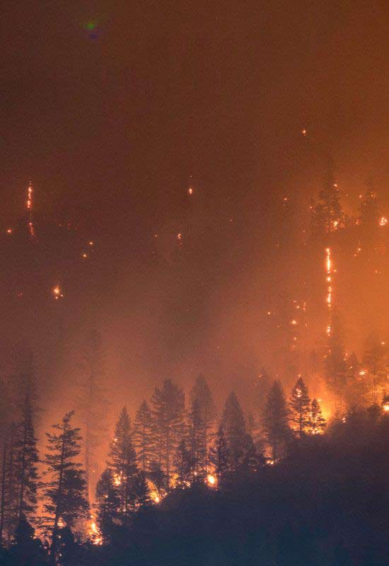 Waldbrand